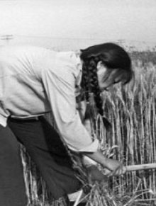 Revolutionary realities