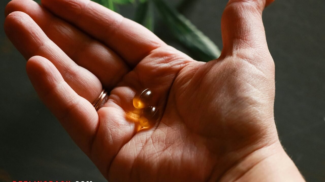 The Rise of Herbciepscam: Understanding the Latest Online Fraud Trends